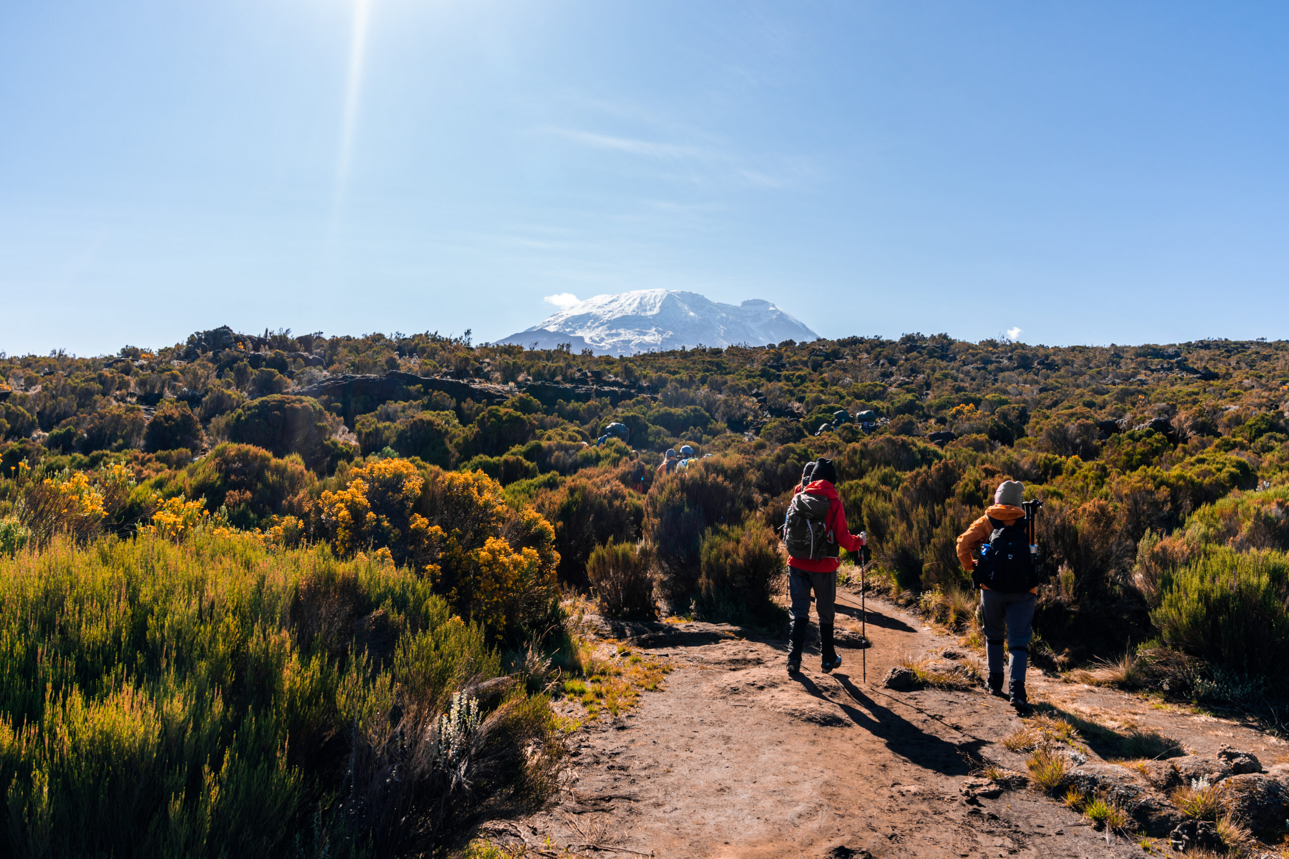 Uhuru Peak sign