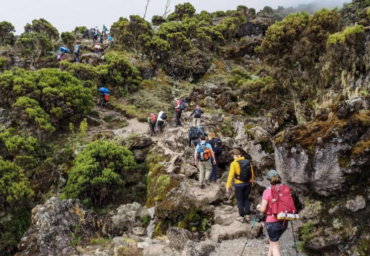 Kilimanjaro glacier views