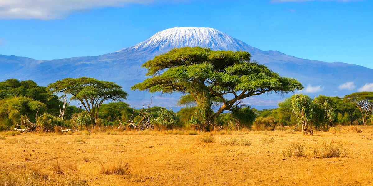 Kilimanjaro