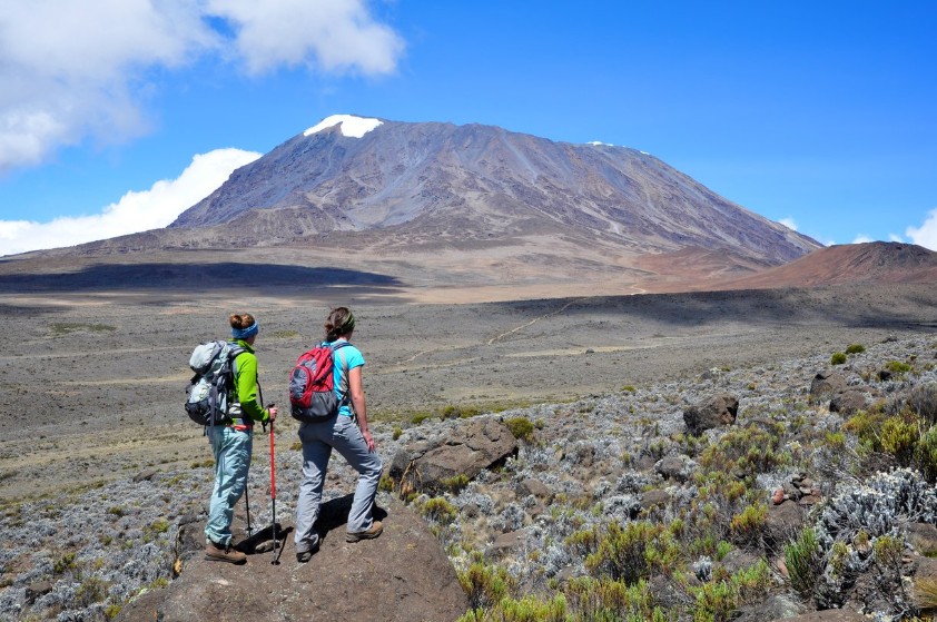 Kilimanjaro camp on Lemosho Route